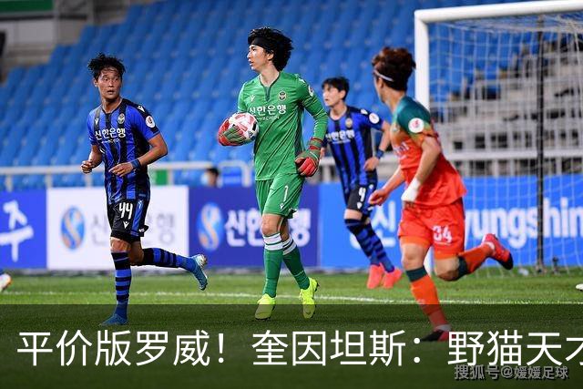 平价版罗威！奎因坦斯：野猫天才内线 存伤病隐患 罚球致敬米切罗
